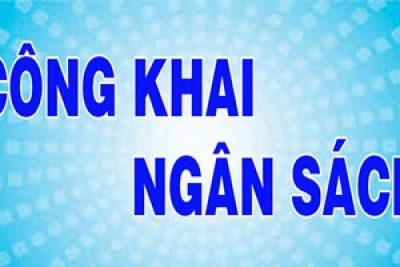 CÔNG KHAI DỰ TOÁN THU CHI QUÝ I NĂM 2025